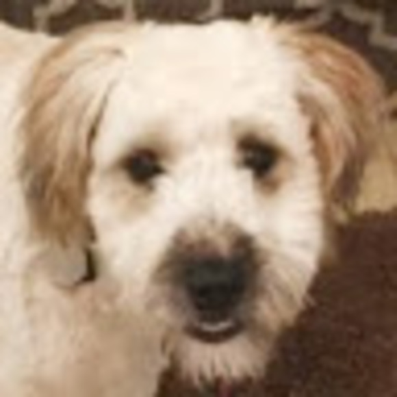 Meet your Posher, Kim - Picture 1 of 1